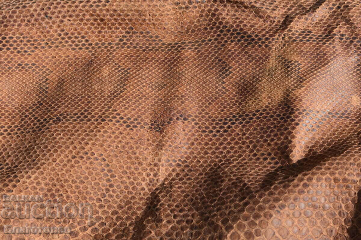 Auction Python skin Auction Python skin