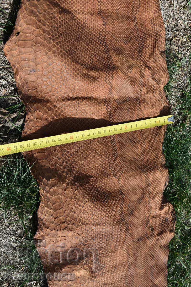 Delivery of Python skin Delivery of Python skin