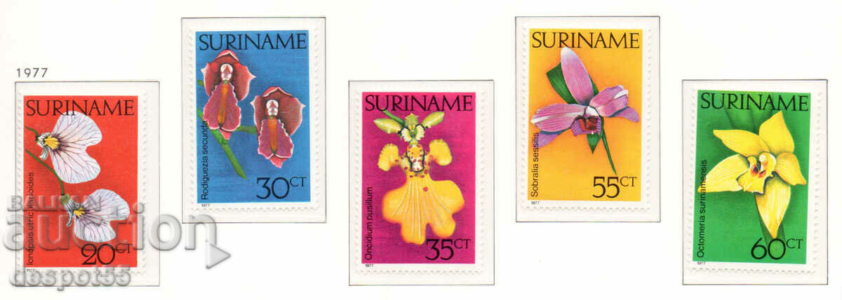 1977. Suriname. Surinamese orchids.