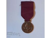 ITALY Medal of the Association of Blood Donors