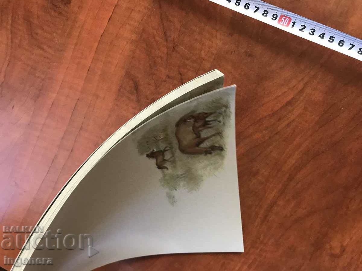 Auction SHEETS OF LUXURY PAPERS FOR LETTERS FORMAT A4 DECOR-40 PCS. Auction SHEETS OF LUXURY PAPERS FOR LETTERS FORMAT A4 DECOR-40 PCS.