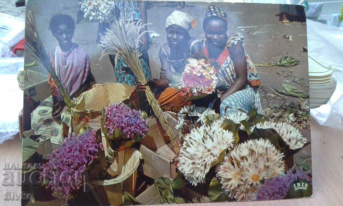 Native flower market card