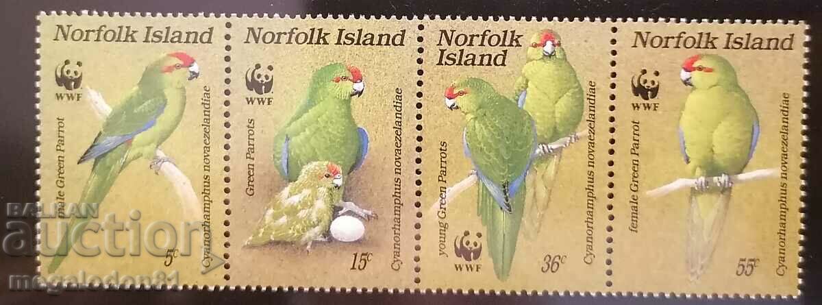 Norfolk - προστατευόμενη πανίδα, παπαγάλοι