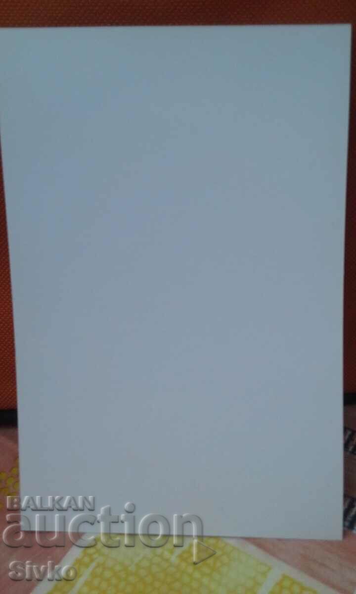 Photo tennis player 3 with price 0.99 BGN | € 0.51 Photo tennis player 3 with price 0.99 BGN | € 0.51