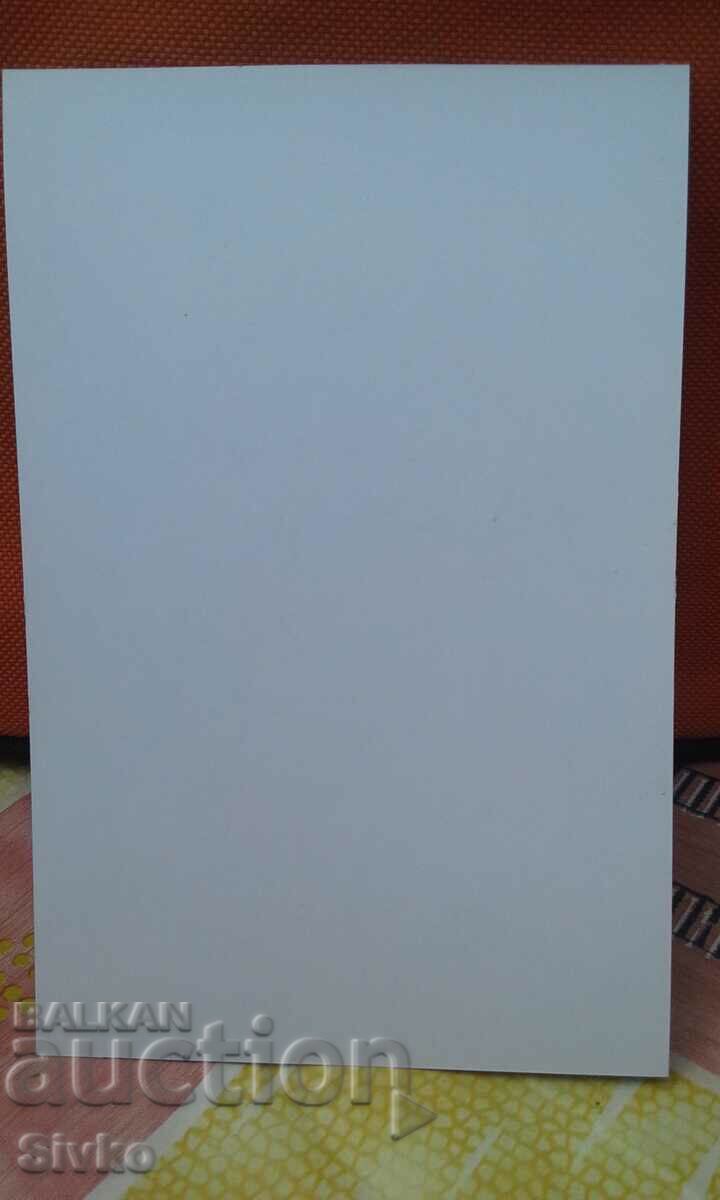 Photo tennis player 4 with price 0.99 BGN | € 0.51