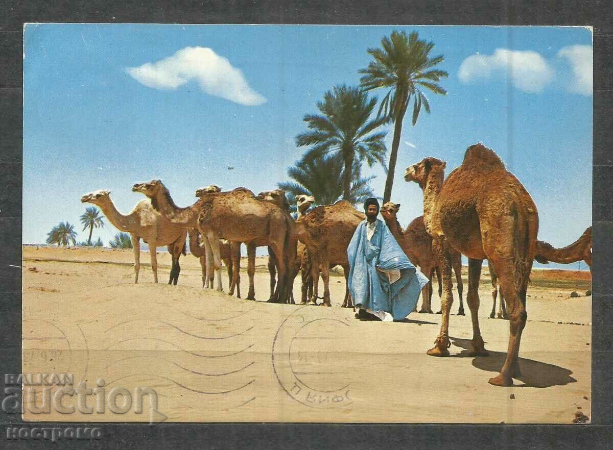 traveled Post card MOROCCO - A 945