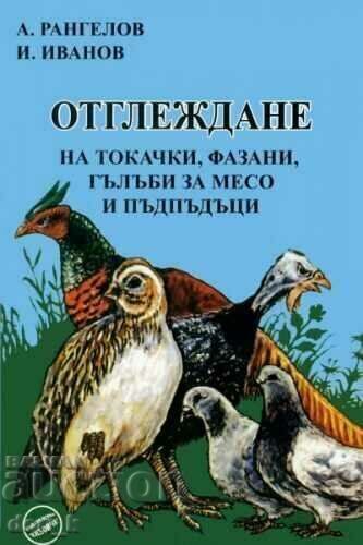 Breeding of partridges, pheasants, meat pigeons and quails