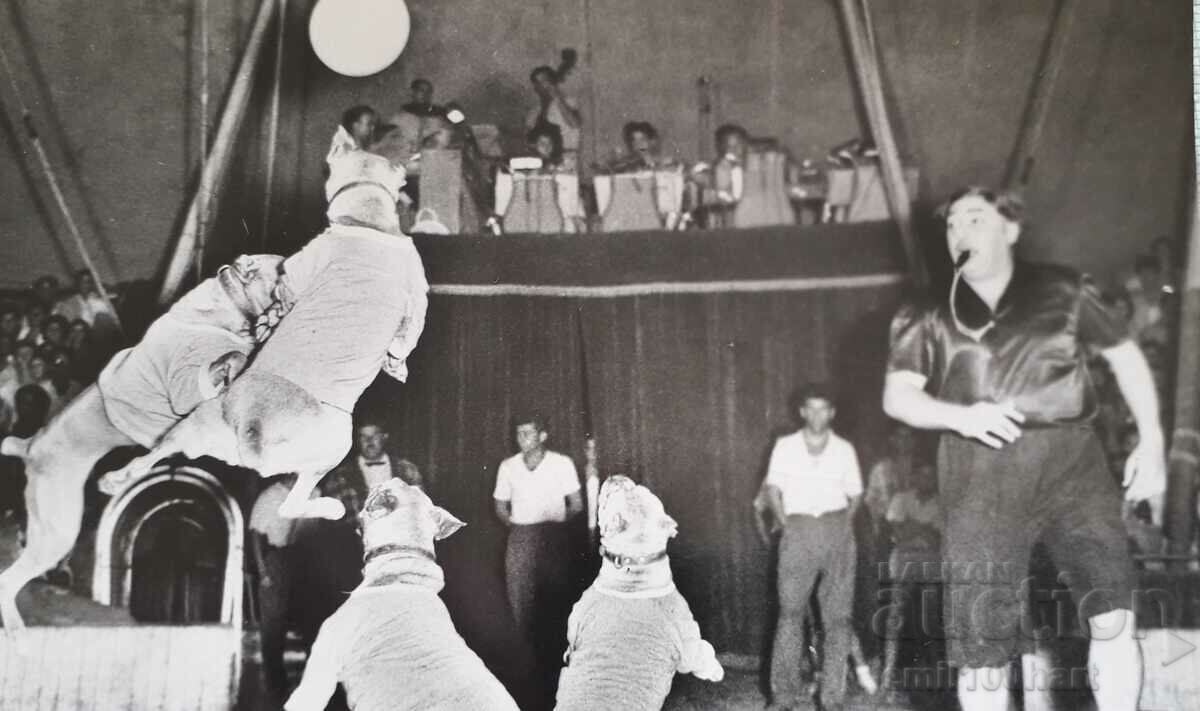 Bulgarian Circus Sofia Ποδοσφαιρικός αγώνας προπόνηση μπουλντόγκ P Parvanov με τιμή 5.00 BGN | € 2.56 Bulgarian Circus Sofia Ποδοσφαιρικός αγώνας προπόνηση μπουλντόγκ P Parvanov με τιμή 5.00 BGN | € 2.56