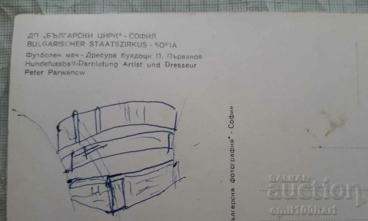Παράδοση Bulgarian Circus Sofia Ποδοσφαιρικός αγώνας προπόνηση μπουλντόγκ P Parvanov Παράδοση Bulgarian Circus Sofia Ποδοσφαιρικός αγώνας προπόνηση μπουλντόγκ P Parvanov