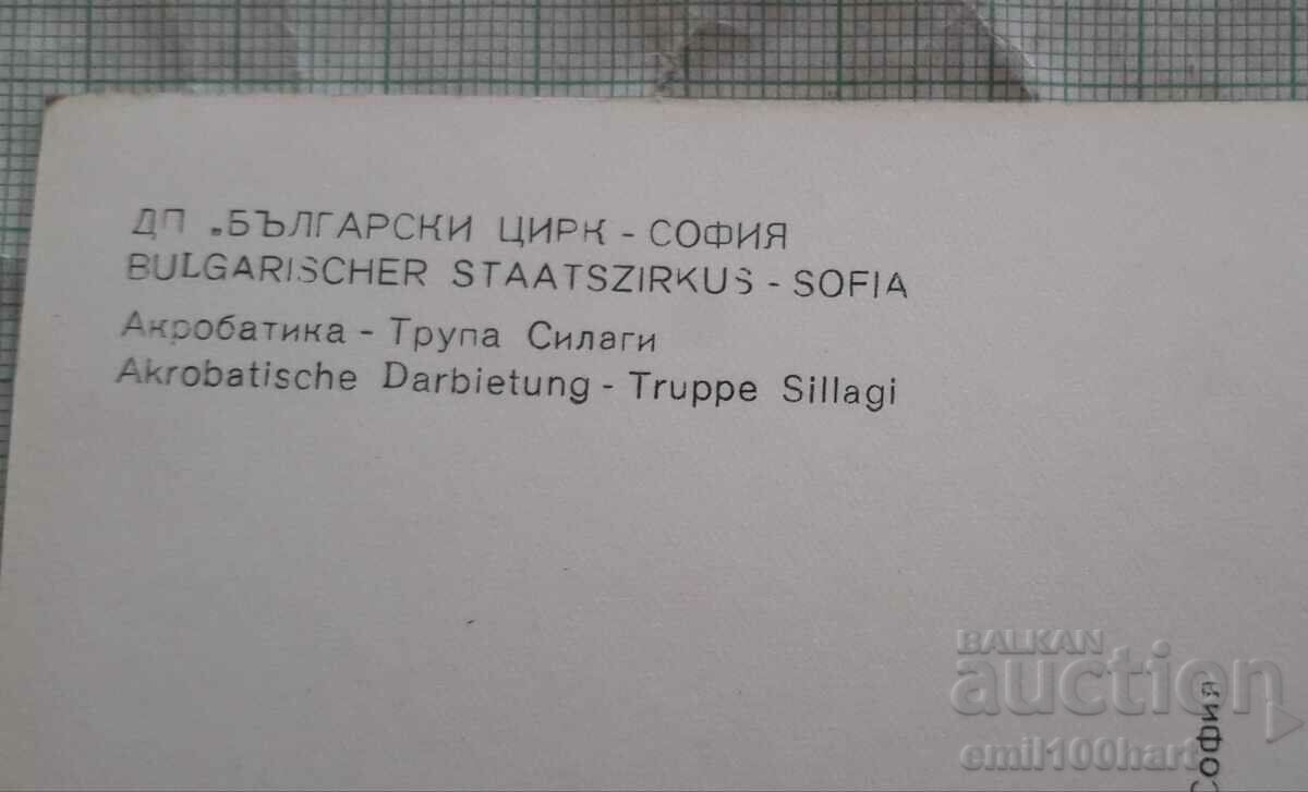 Delivery of DP Bulgarian Circus Sofia Acrobatics Troupe Silagi Delivery of DP Bulgarian Circus Sofia Acrobatics Troupe Silagi