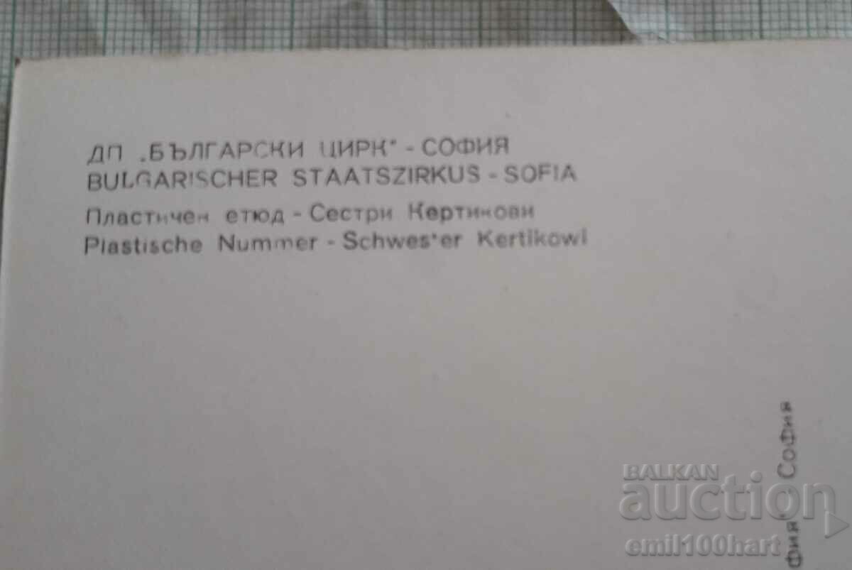 Delivery of DP Bulgarian Circus Sofia Plastic sketch Kertikovi sisters Delivery of DP Bulgarian Circus Sofia Plastic sketch Kertikovi sisters