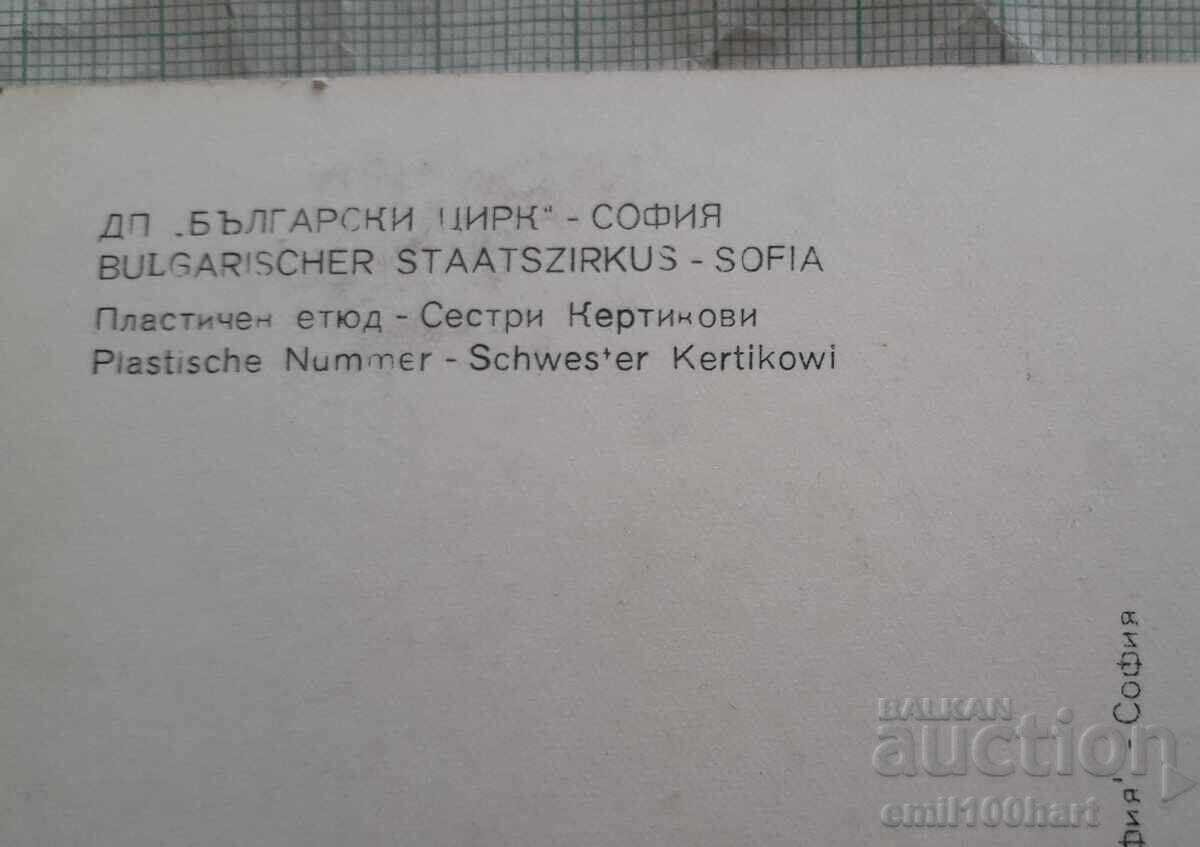 Delivery of DP Bulgarian Circus Sofia Plastic sketch Kertikovi sisters Delivery of DP Bulgarian Circus Sofia Plastic sketch Kertikovi sisters