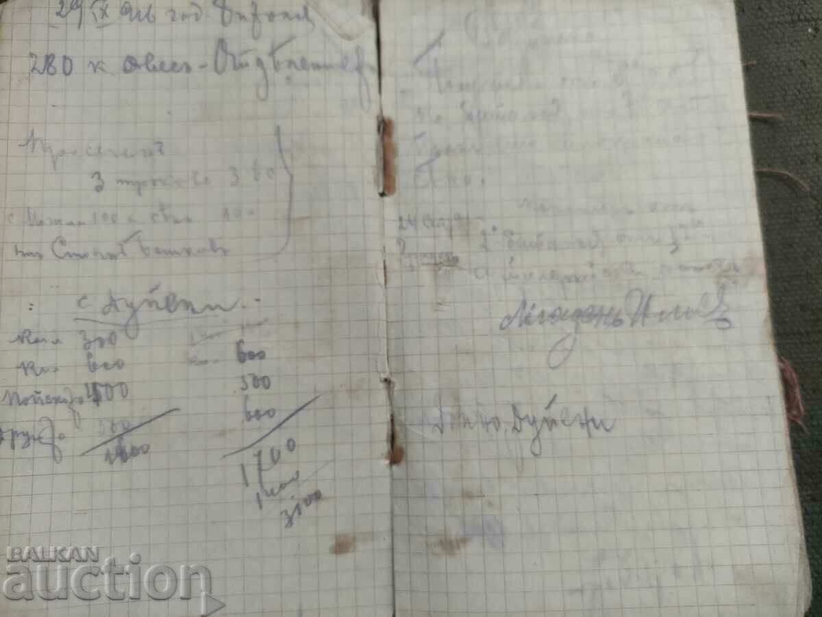 Delivery of Diary PSV, the capture of Nis 1915