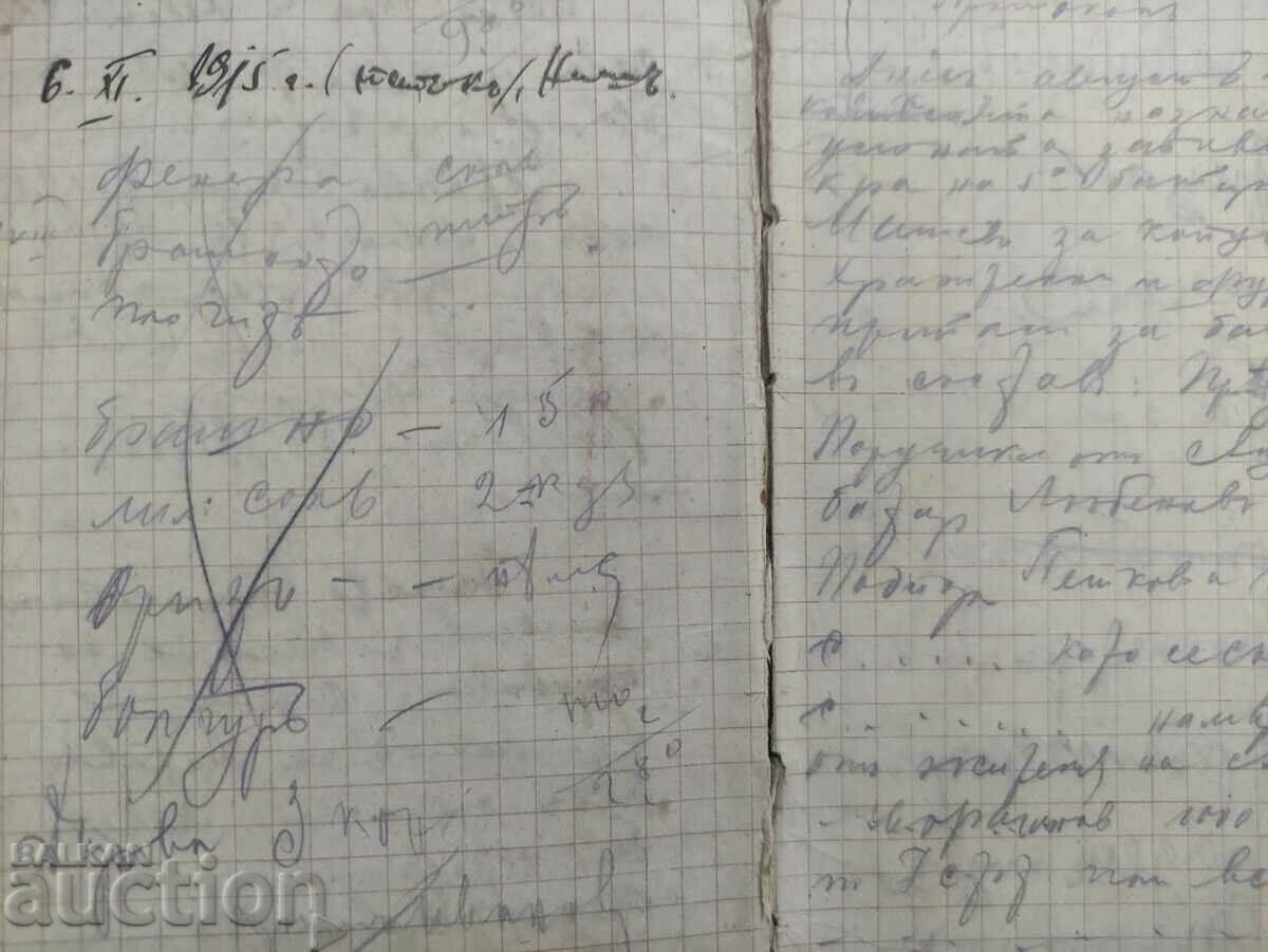 Diary PSV, the capture of Nis 1915 - 5