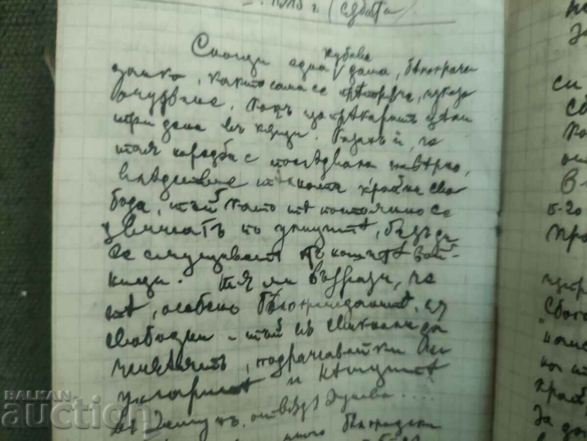 Diary PSV, the capture of Nis 1915 - 6