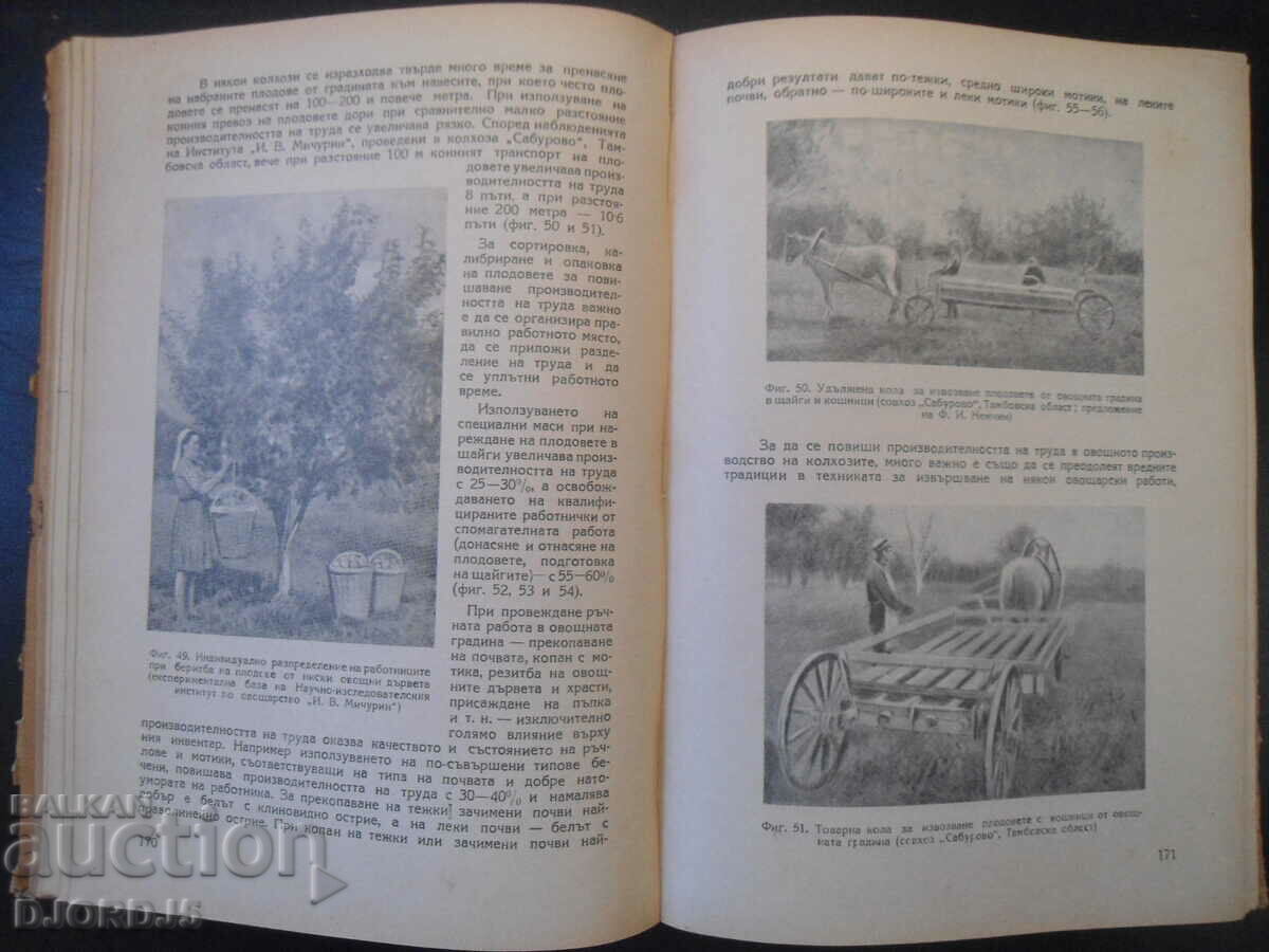 Delivery of Organization of fruit growing in collective farms, P. F. Dubrova Delivery of Organization of fruit growing in collective farms, P. F. Dubrova