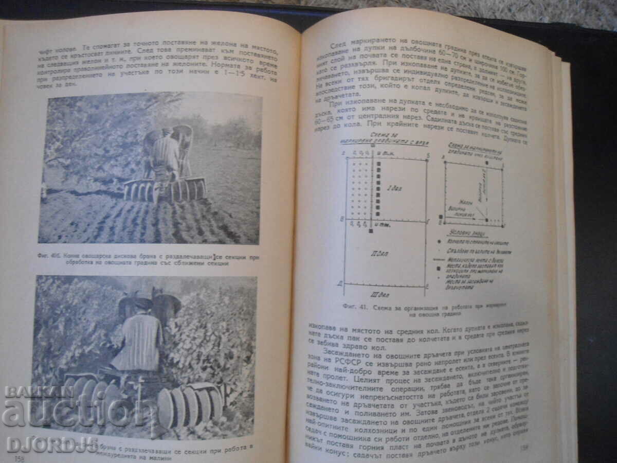 Organization of fruit growing in collective farms, P. F. Dubrova - 5 Organization of fruit growing in collective farms, P. F. Dubrova - 5