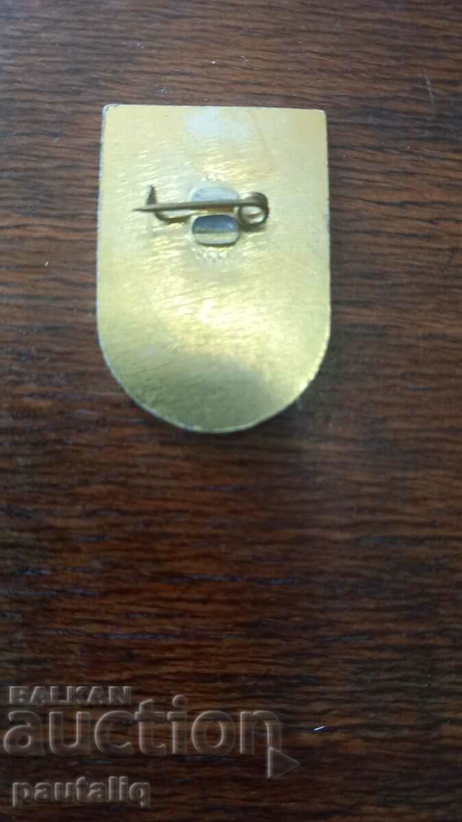 Auction BADGE Auction BADGE