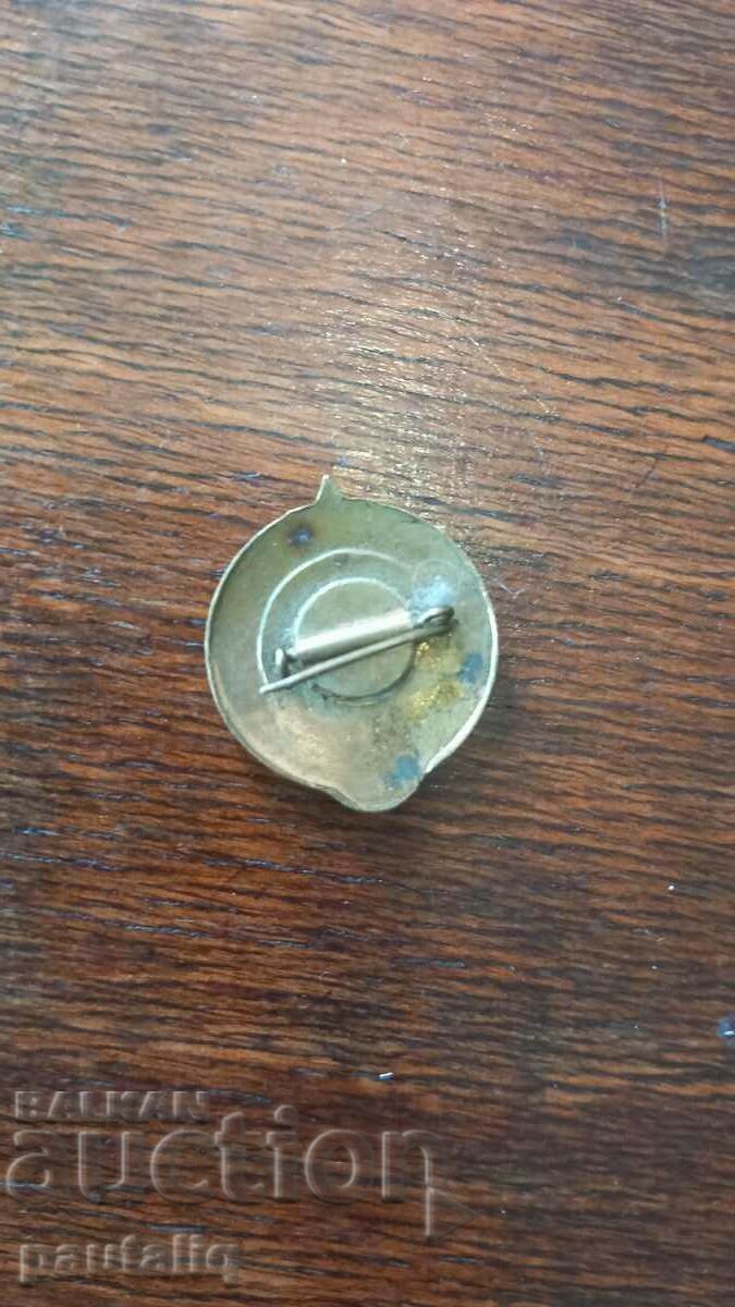 Auction OLD BADGE YOUNG TOURIST USSR ENAMEL Auction OLD BADGE YOUNG TOURIST USSR ENAMEL