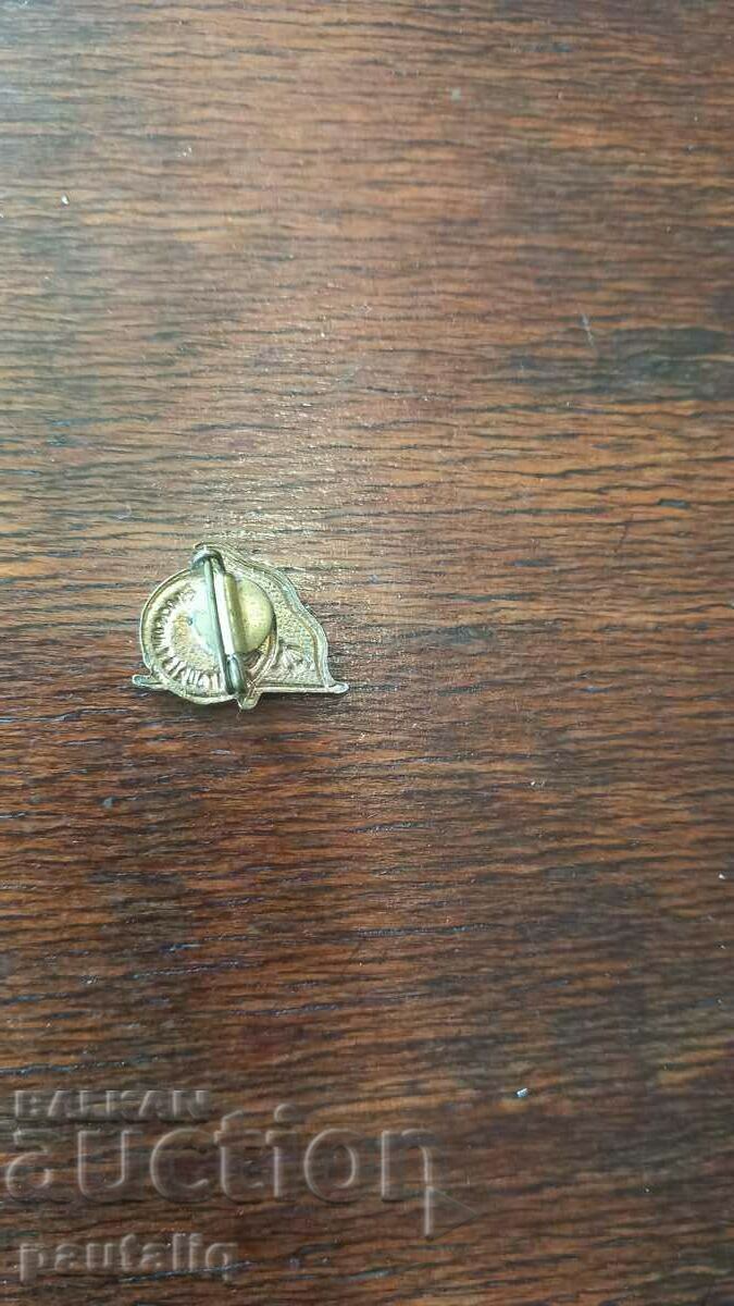 Auction  OLD USSR BRONZE ENAMEL BADGE