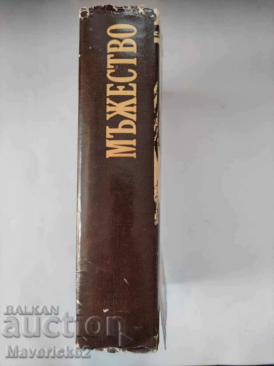 Masculinity - 6 Masculinity - 6