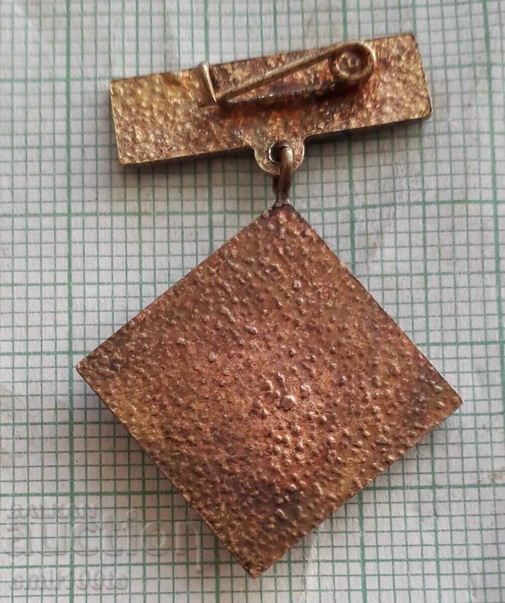 Badge - 20 years Nurse BCHK - 5 Badge - 20 years Nurse BCHK - 5