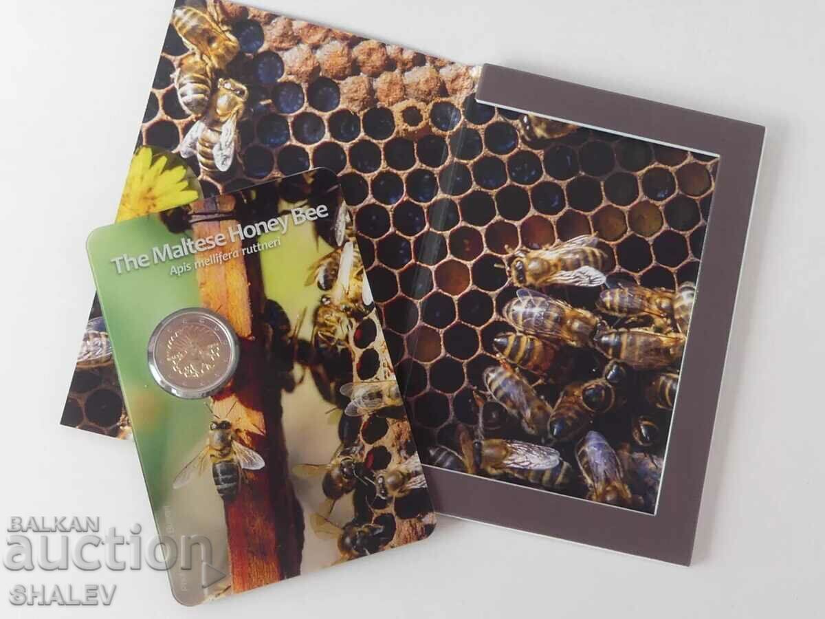 2 Euro 2024 Malta "Honey Bee" /Malta/ (2) - Unc (2 euro) - 6 2 Euro 2024 Malta "Honey Bee" /Malta/ (2) - Unc (2 euro) - 6