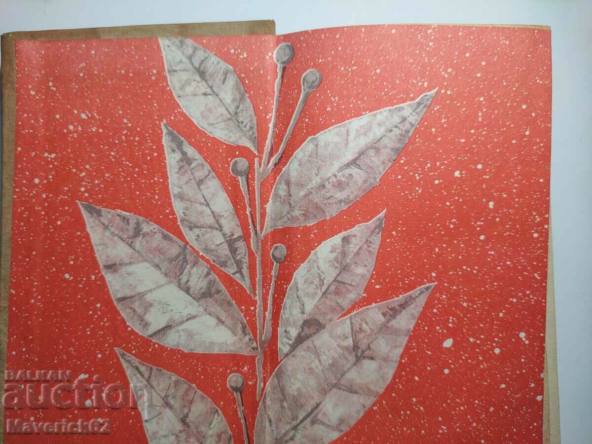 A story about the Decembrists Petre Mukhanov in Russian with price 8.00 BGN | € 4.09 A story about the Decembrists Petre Mukhanov in Russian with price 8.00 BGN | € 4.09