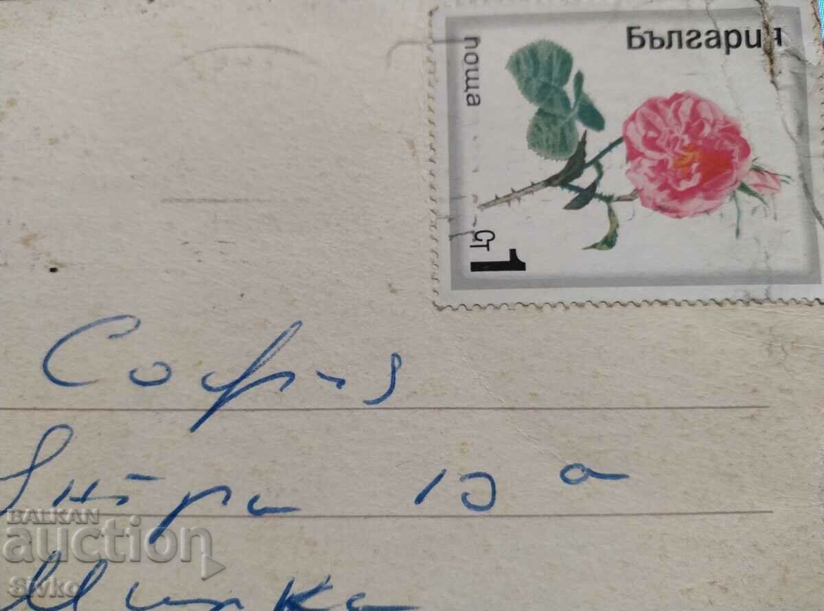 Auction Old photo card 54 with stamp Auction Old photo card 54 with stamp