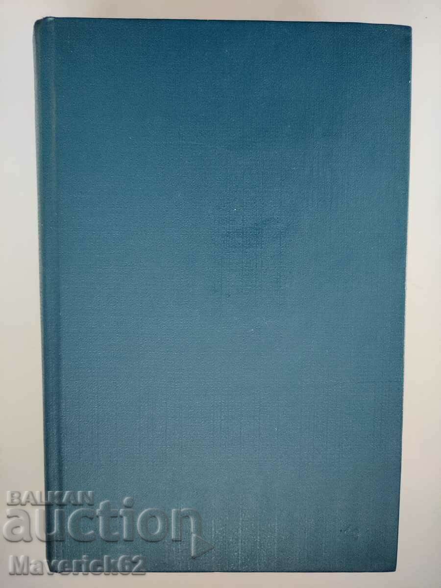 Delivery of Maria Maric, Northern Lights