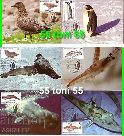 1995 Fauna antarctică 6 cărți maxim