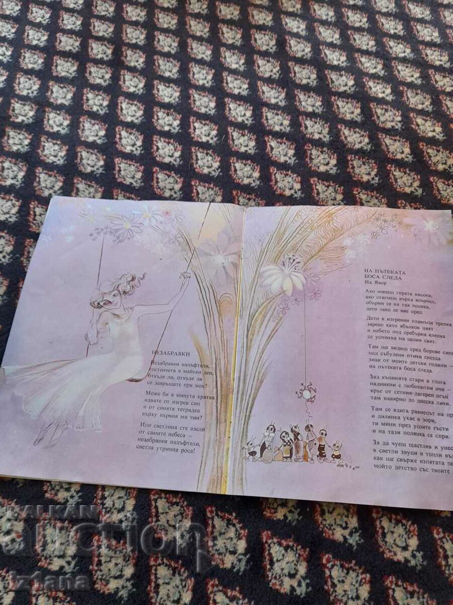 Auction Children's book Firefly chooses my path Auction Children's book Firefly chooses my path