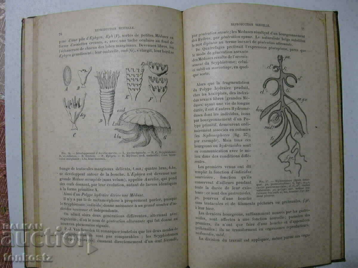Δημοπρασία Histoire Naturelle 1895 Παρίσι