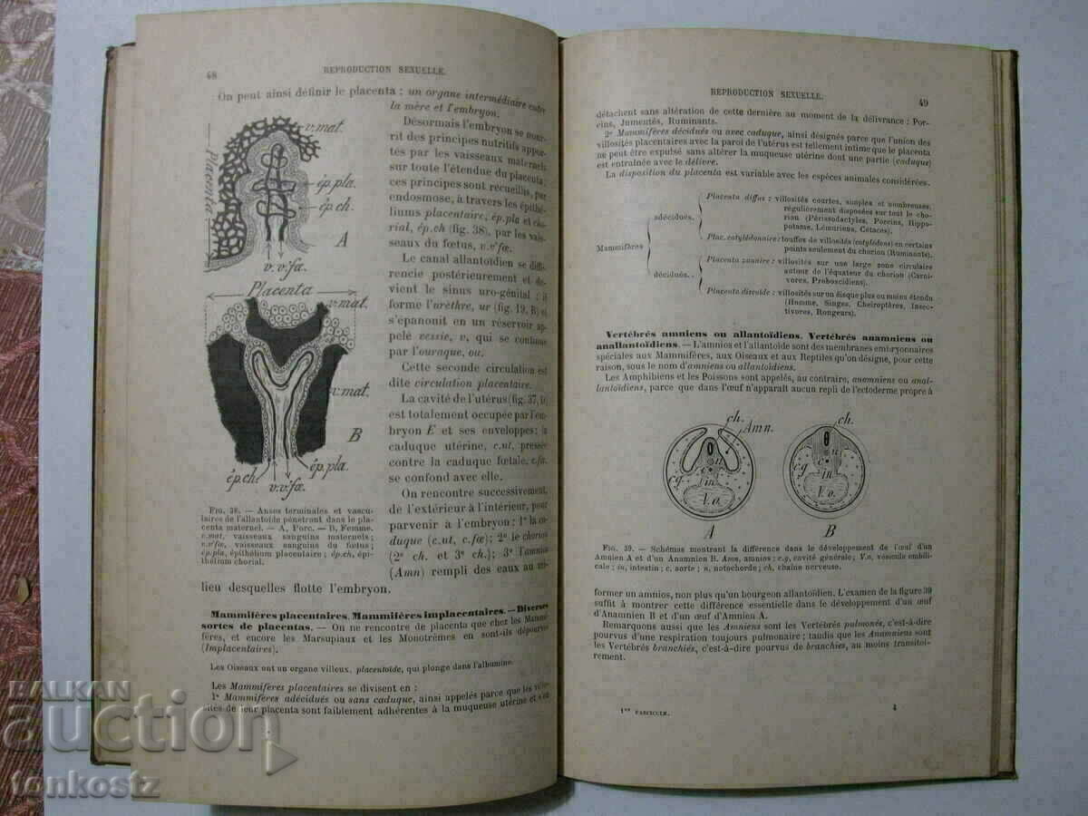 Livrarea Histoire Naturelle 1895 Paris