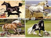 2012 horses, comp. 4 cards maximum