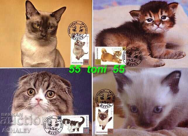 2013 domestic cats, comp. 4 cards maximum