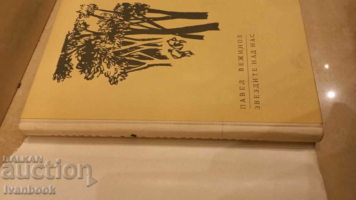 Auction Pavel Vezhinov - The stars above us Auction Pavel Vezhinov - The stars above us