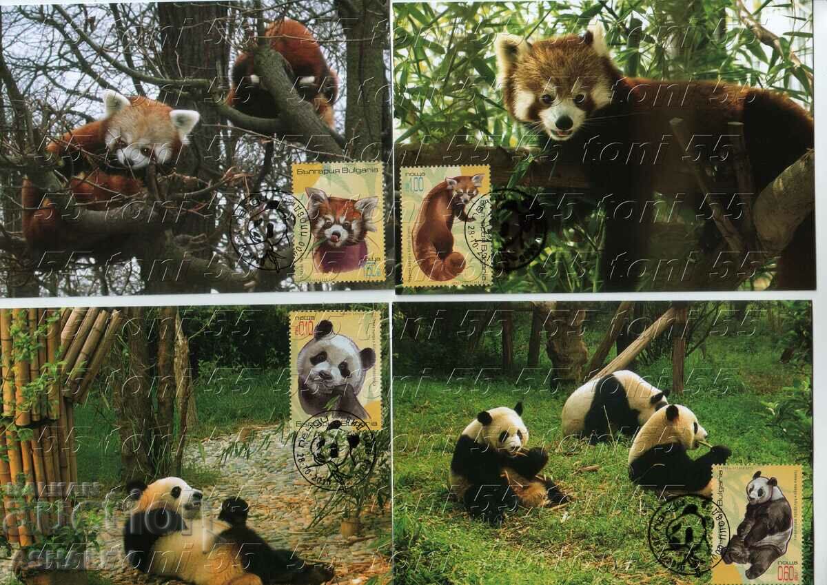 2010 Fauna Panda Bears - 4 cards max