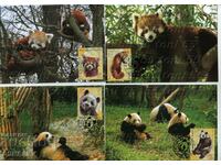 2010 Fauna Panda Bears - 4 κάρτες μέγ