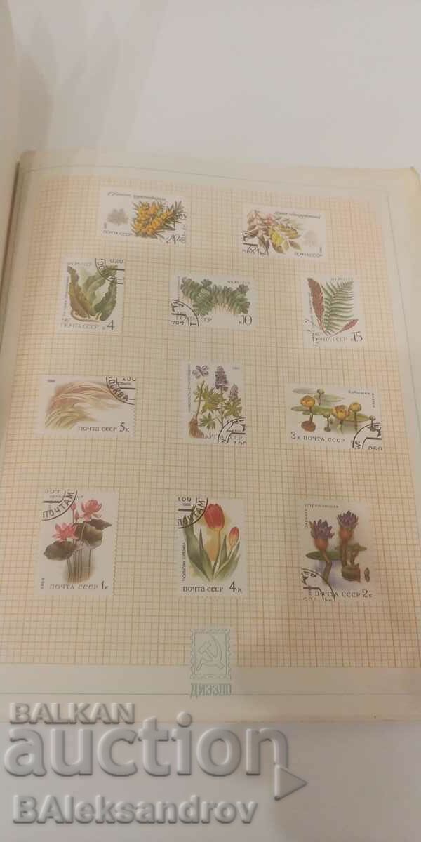 Binder with stamps with price 16.00 BGN | € 8.18