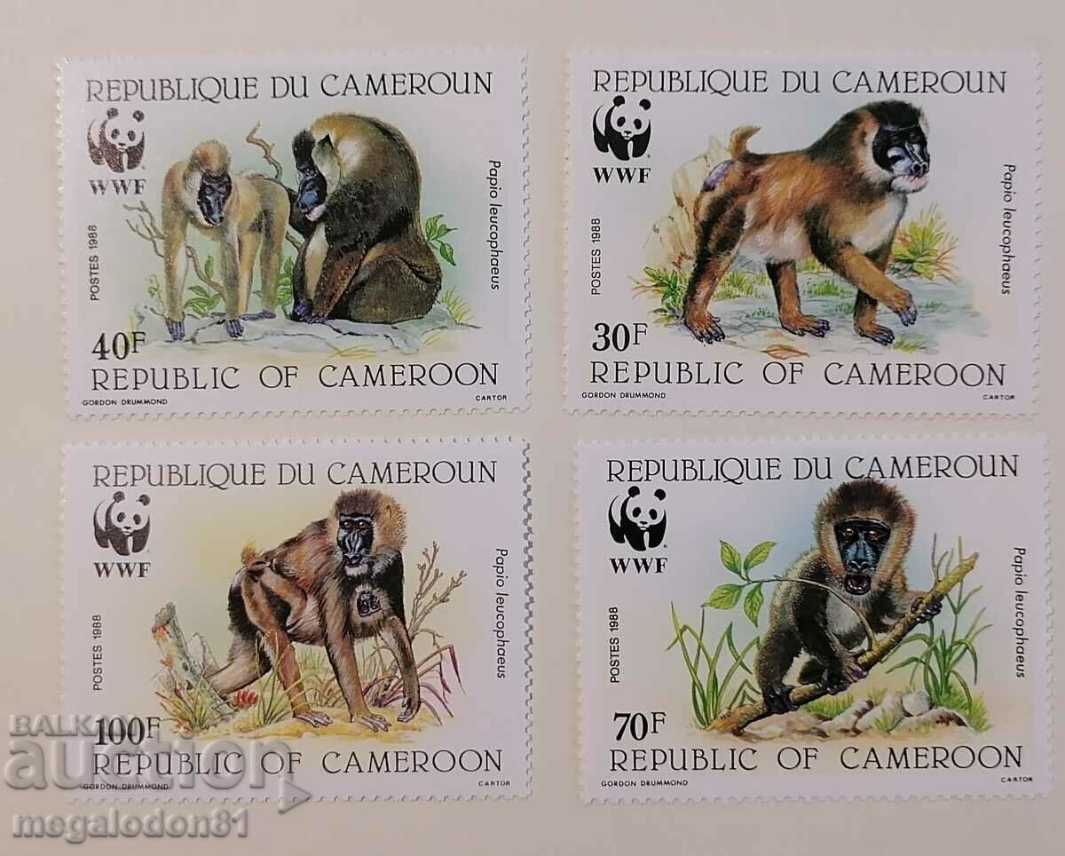 Камерун - WWF, мандрил
