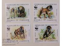 Camerun - WWF, mandrill