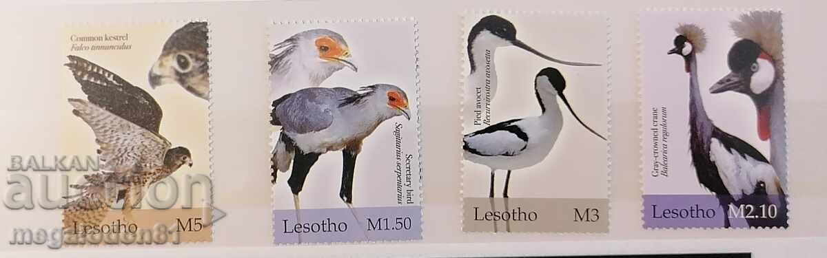 Auction Lesotho - fauna, birds Auction Lesotho - fauna, birds