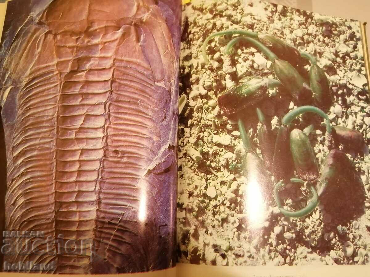 Life on Earth with price 2.00 BGN | € 1.02