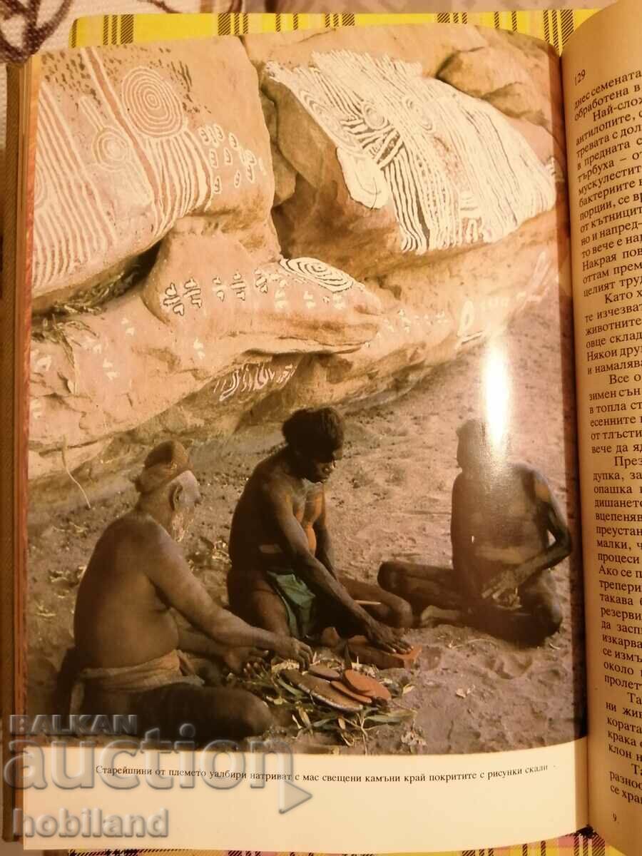 Delivery of Life on Earth