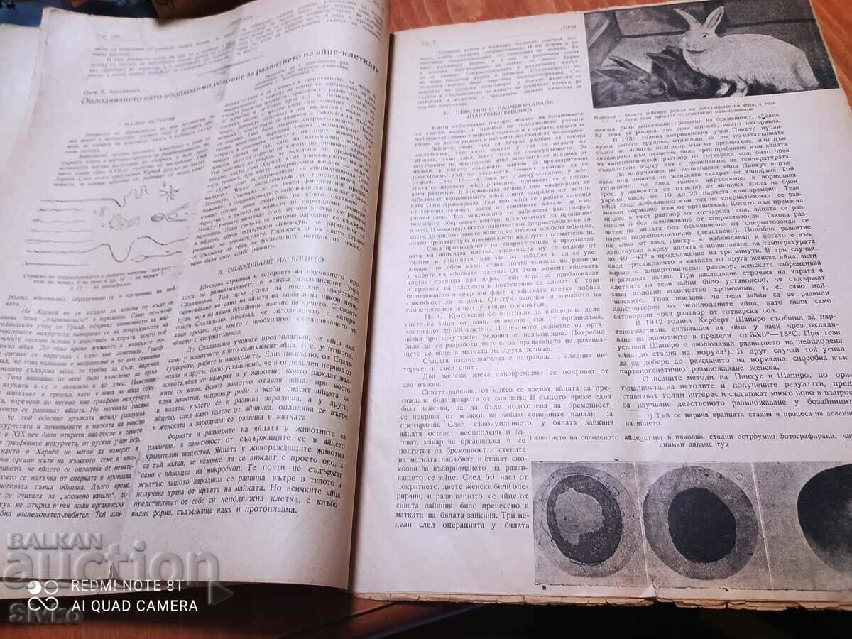 Nature magazine from August 1945 - 7 Nature magazine from August 1945 - 7