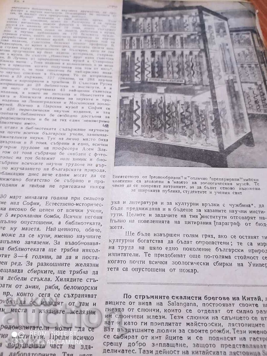 April 1945 Nature magazine with price 0.99 BGN | € 0.51