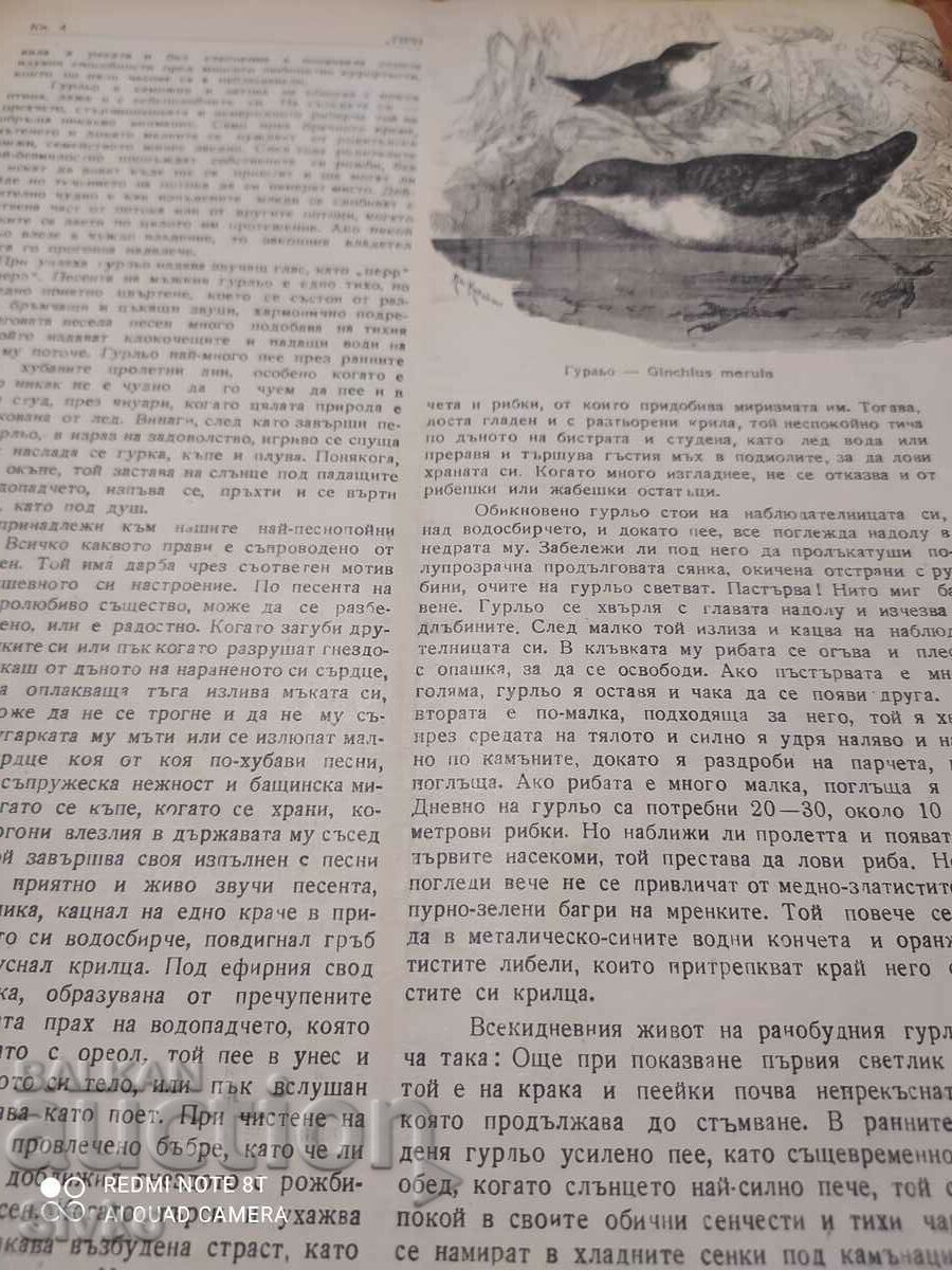 Auction  April 1945 Nature magazine