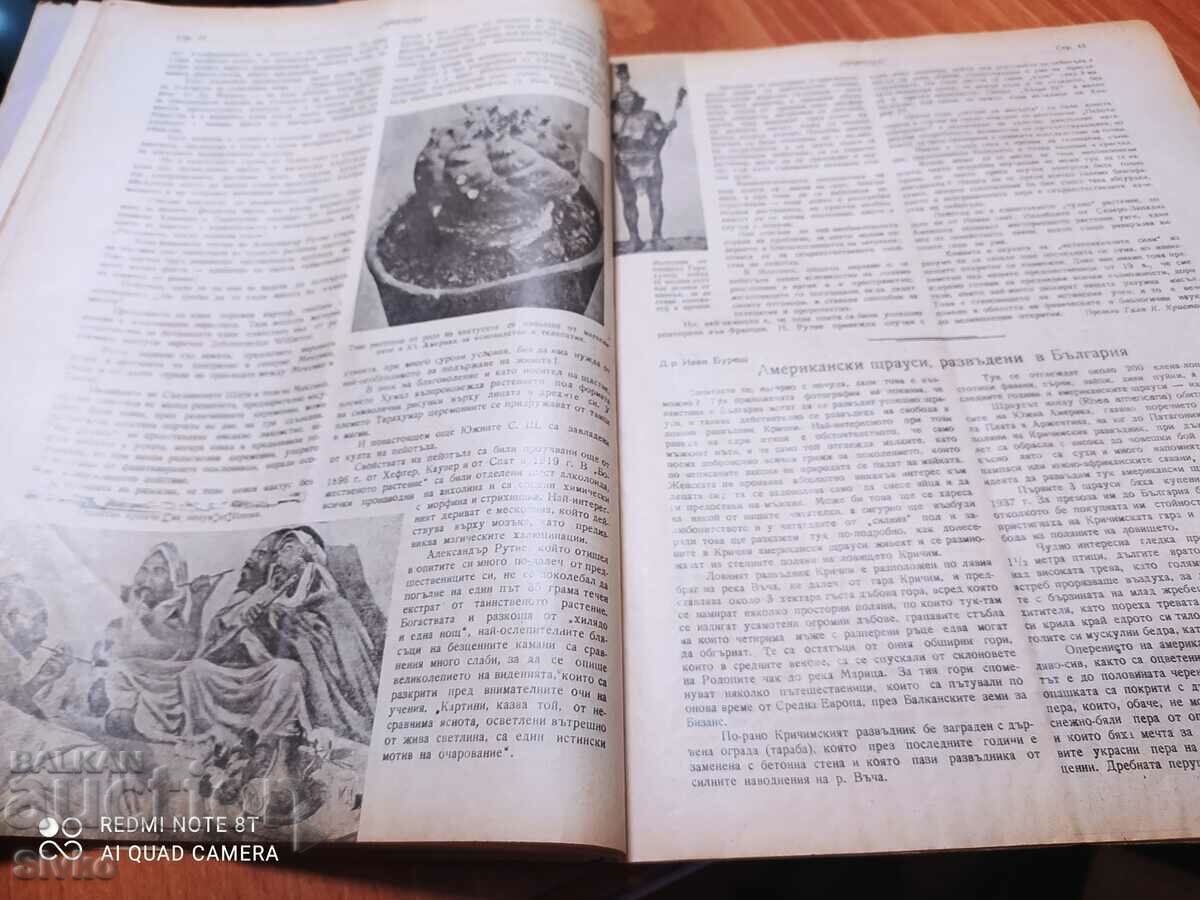 Nature magazine from December 1946 - 5 Nature magazine from December 1946 - 5