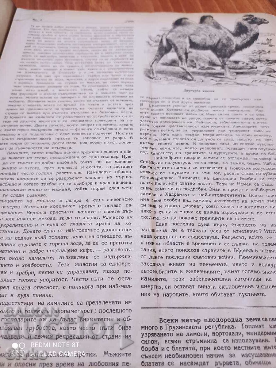 Auction  Nature magazine from December 1947